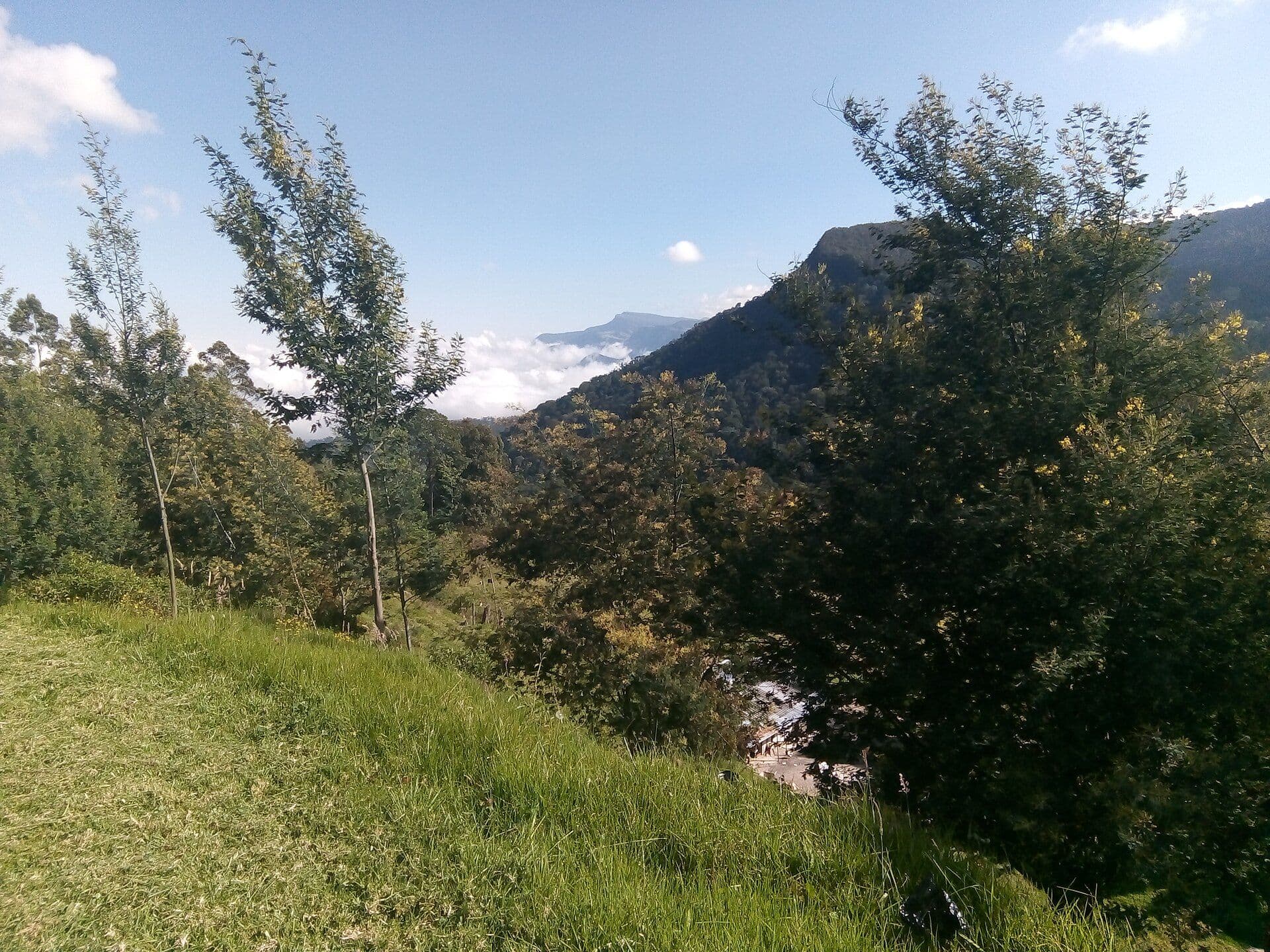 Alto del Vino